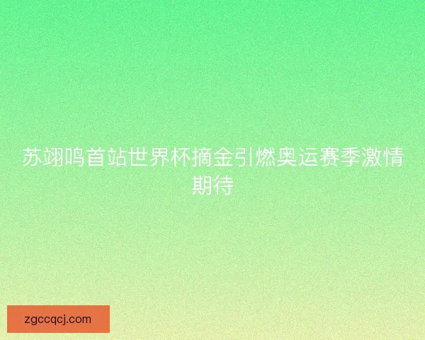 苏翊鸣首站世界杯摘金引燃奥运赛季激情期待