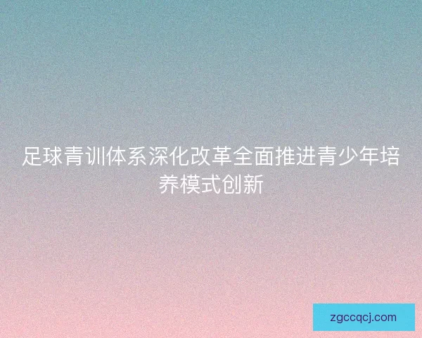 足球青训体系深化改革全面推进青少年培养模式创新